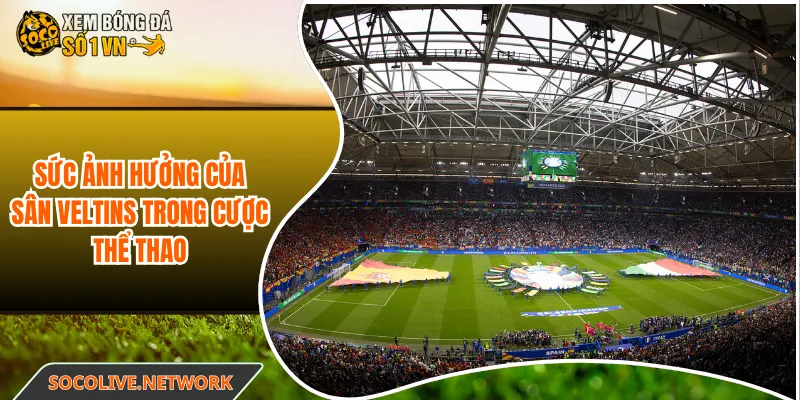Sức ảnh hưởng của sân Veltins trong cược thể thao